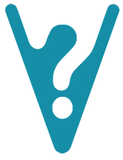 Visnomy Logo